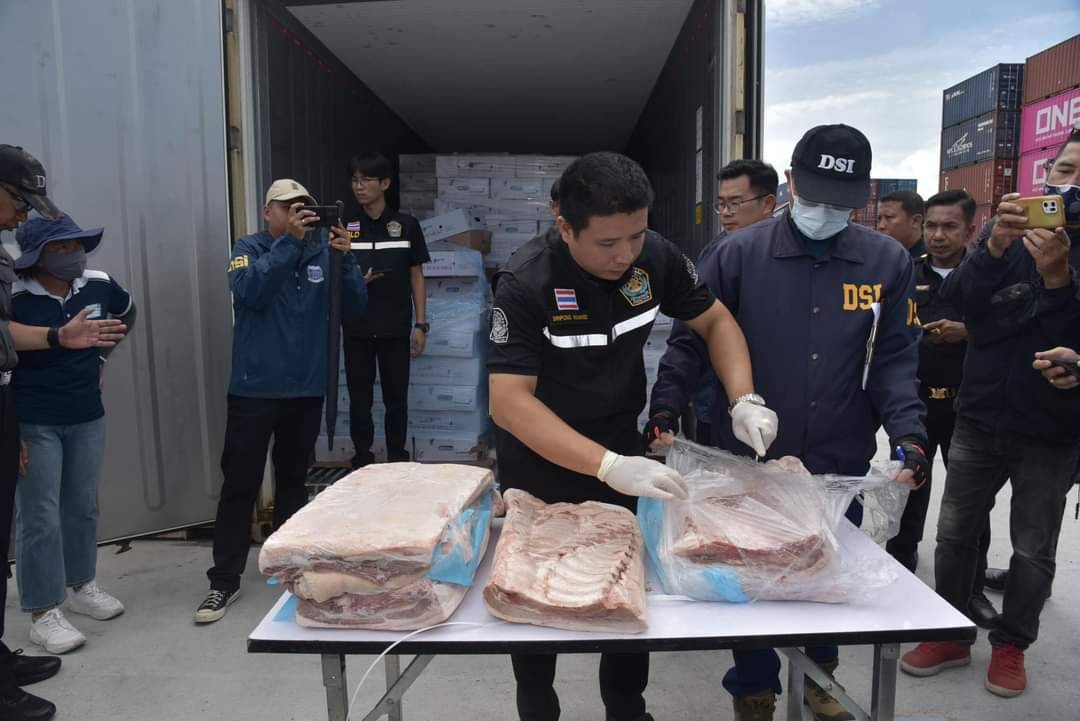 ผู้เลี้ยงหมู ร้องภาครัฐตรวจค้นซ้ำ หวั่น “หมูเถื่อน” ยังตกค้างแทรกแซงราคาหมูไทย